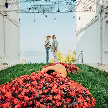 호텔 View 사판자